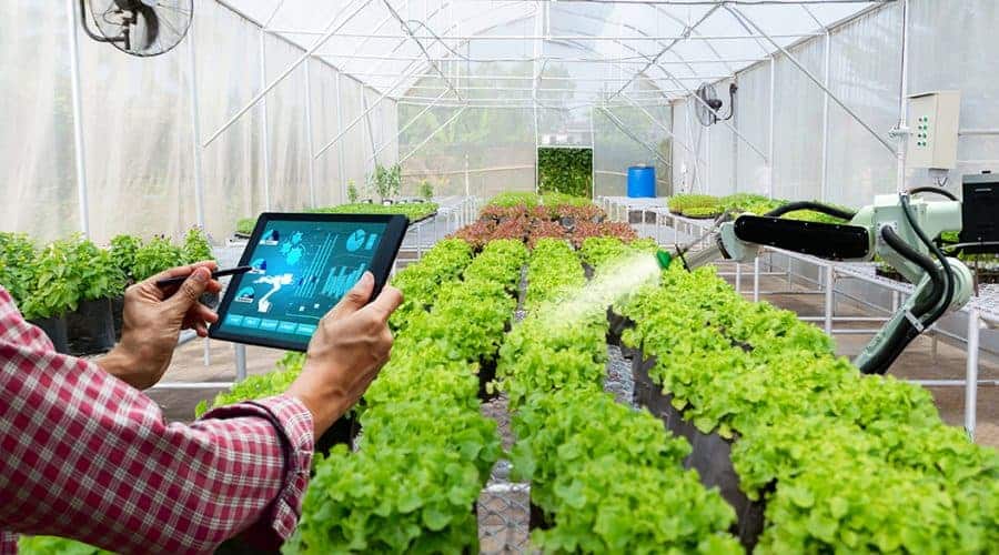 Technology To Help Farmers: రైతులకు సాయంగా టెక్నాలజీ.. వాటిపైనే ఆధారం..