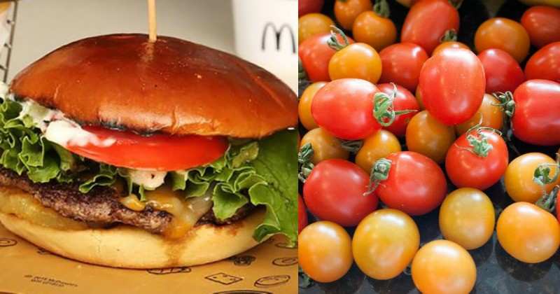 McDonalds: టమాటా బంద్.. మెక్‌డొనాల్డ్స్‌కు ధరల సెగ..