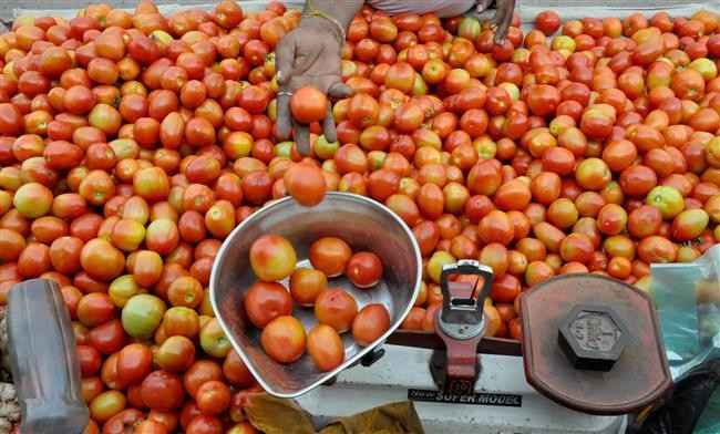 Tomato latest price: టమా’ఠా’.. పైపైకి ధర..