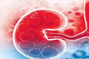 Kidney Racket : ఏపీలో మరో కిడ్నీ రాకెట్.. విజయవాడ కేంద్రంగా దందా..