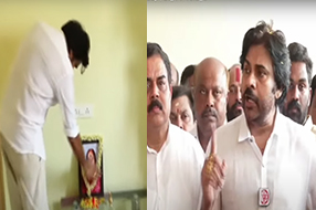 Pawan Kalyan : వాలంటీర్లు దండుపాళ్యం బ్యాచ్.. జనసేనాని కలకలం..