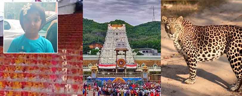 Thirumala latest news