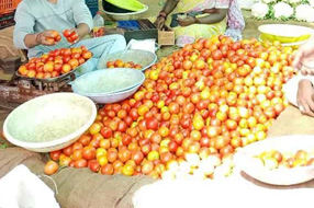 Latest Tomato Price : గుడ్ న్యూస్ .. టమాటా ధర తగ్గింది.. రైతుబజార్లలో ఎంతో తెలుసా?