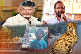 Tirumala tiger attack news : చిరుతదాడిపై చంద్రబాబు రియాక్షన్.. కోవూరు ఎమ్మెల్యే కాంట్రవర్సీ స్టేట్‌మెంట్..