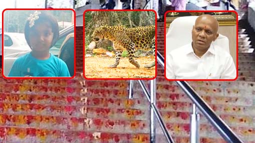 TTD on Tirumala tiger attack : భక్తులే జాగ్రత్తగా ఉండాలట.. టీటీడీ ఉచిత సలహా.. షేమ్ షేమ్!