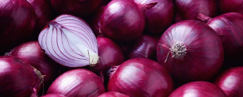 Latest Onion rates in telugu states