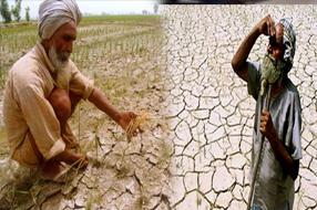 Telangana Rains : చినుకు జాడేది..? ఆందోళనలో రైతులు.. వర్షాల కోసం ఎదురుచూపు..