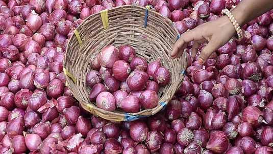 Onion Price : కన్నీరు పెట్టిస్తోన్న ఉల్లి.. ఆకాశాన్నంటుతాయా ?