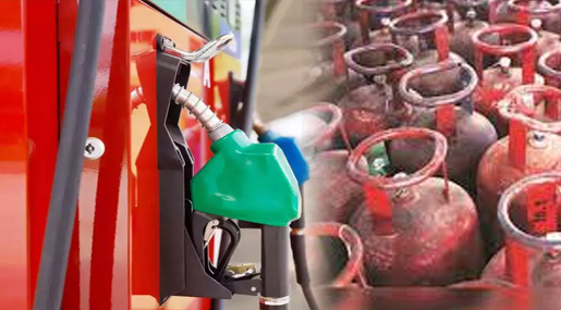 Fuel Subsidies : ఇంధన సబ్సిడీ వ్యయం పైపైకే..