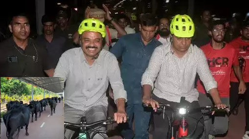 Solar Roof Cycling Track : సోలార్ రూఫ్ సైకిల్ ట్రాక్ పై బర్రెల ఫ్యాషన్ షో