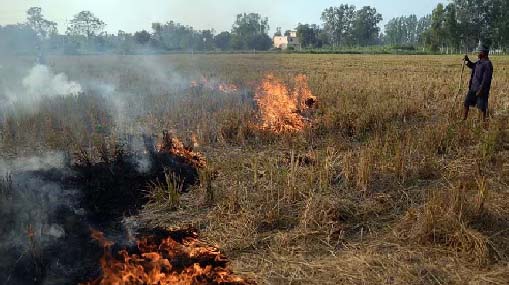 Stubble Burning  : పంట వ్యర్థాల దగ్ధం.. చిచ్చు రేపిన కాలుష్యం