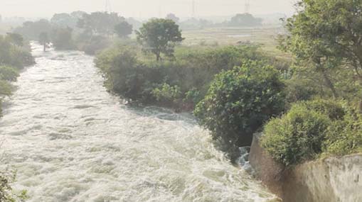 Bethavolu canal: ఊడిన కాలువ షట్టర్.. నీట మునిగిన పంటలు..