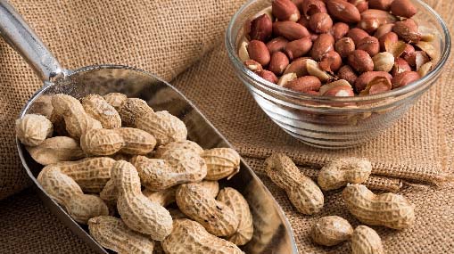 Peanuts Benefits : పల్లీలతో ఆరోగ్యం పదిలం