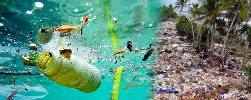 Plastic Pollution