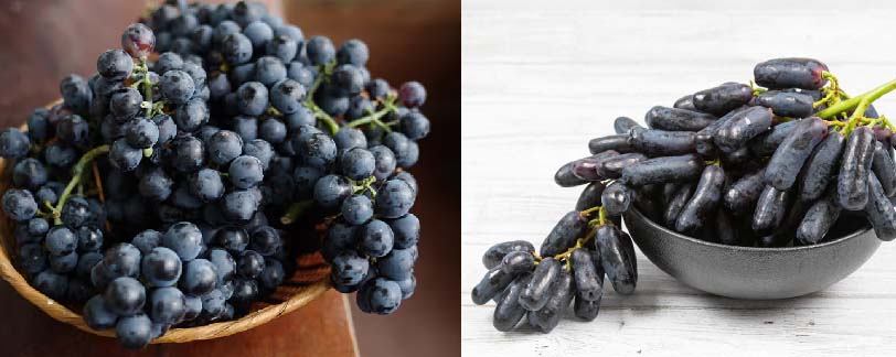 Benefits of Black Grapes 