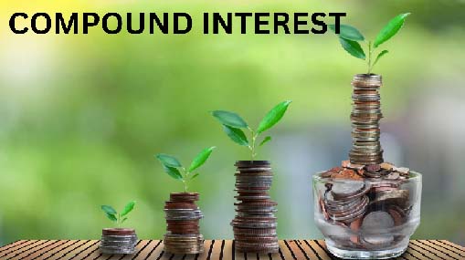 Compound Interest : చక్రవడ్డీ..సంపన్నుల సంపద మంత్రం..