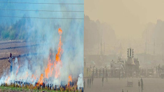 Stubble Burning :  గ్యాస్‌ చాంబర్‌లా ఢిల్లీ.. వాళ్లే కారణమా?