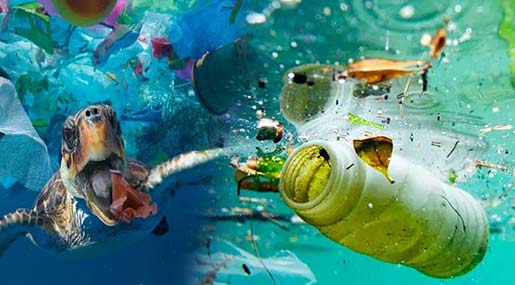 Plastic Pollution : కడలి కడుపులో ప్లాస్టిక్.. మన వాటా ఎక్కువే