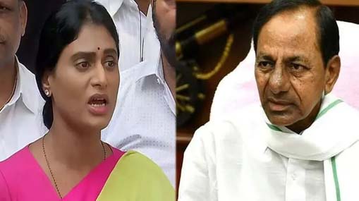 YS Sharmila | వైఎస్ షర్మిలపై కేసీఆర్ ఫైర్.. సమైక్యవాదులు.. చెంచాలు అంటూ సెటైర్లు