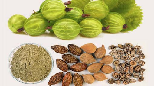 Triphala Churnam : ఈ చూర్ణంతో 90శాతం వ్యాధులు మాయం