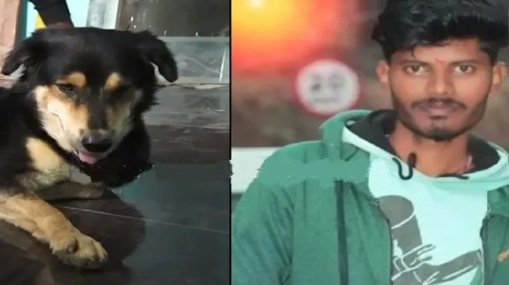 Dog Empathy : వీధికుక్కను కాపాడి మరణించిన యువకుడు.. ఆ తల్లిని ఓదార్చిన శునకం