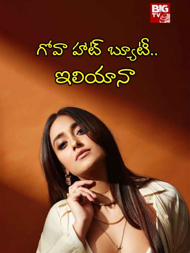 Happy Birthday Ileana : గోవా హాట్ బ్యూటీ.. ఇలియానా..