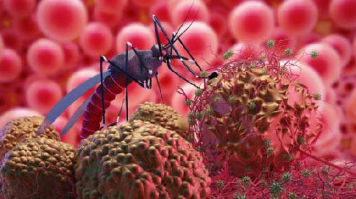 Dengue : డెంగ్యూకి ఇదే విరుగుడు