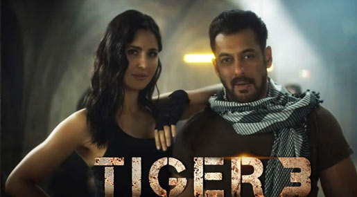 Tiger 3 Review : దీపావళికి సల్మాన్ యాక్షన్.. మూవీ ఎలా ఉందో తెలుసా?