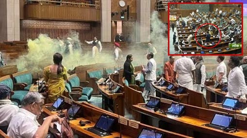 Attack in Parliament: పార్లమెంట్ పై దాడి ఘటన.. వెలుగులోకి షాకింగ్ విషయాలు