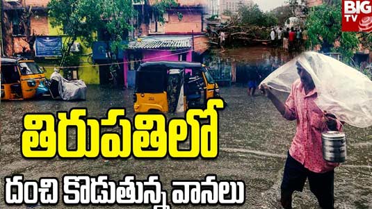 Tirupati Rains: తిరుపతిని ముంచెత్తిన మిగ్ జాం.. కూలిన వందేళ్ల వృక్షం