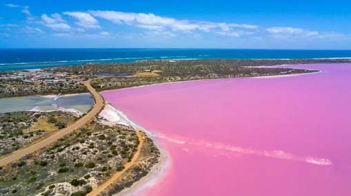 Pink Lake : ప్రకృతి చేసే మాయ.. పింక్ లేక్స్‌