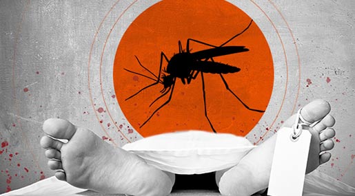 Dengue Deaths : భారత్‌కు డెంగ్యూ డేంజర్