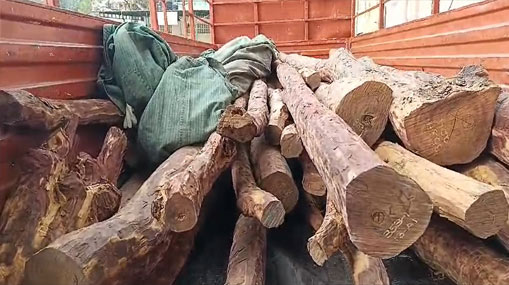 Red sandalwood smuggling : సినిమా స్టైల్‌లో ఎర్రచందనం స్మగ్లింగ్..  టాస్క్ ఫోర్స్ పట్టేసిందిలా..!