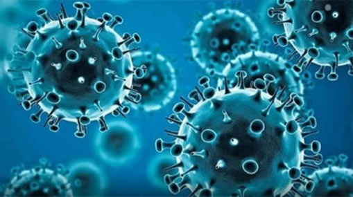 Corona virus : దేశంలో 63  కొత్త ఉపరకం జేఎన్.1 కేసులు నమోదు.. రాష్ట్రాలను అలెర్ట్ చేసిన కేంద్రం..