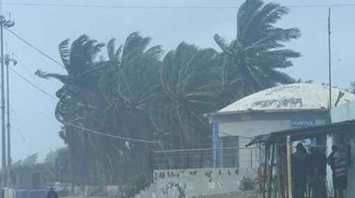 Cyclone Michaung : తీరం దాటిన తుపాను.. ఏపీలో భారీ వర్షాలు.. పంటలకు తీవ్ర నష్టం..