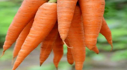 Allergies away with carrot