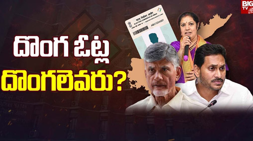 AP Fake Votes: ఏపీలో హాట్ టాపిక్ గా నకిలీ ఓట్లు.. జీరో డోర్ నెంబర్ తో గోల్ మాల్..