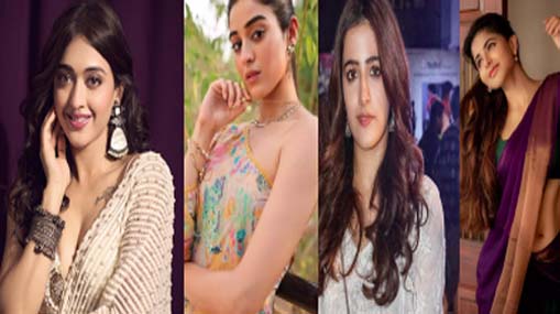 Tollywood Heroines : 2023 కలిసిరాని హీరోయిన్స్.. డిజాస్టర్ తో ఎంట్రీ ఇచ్చిన బ్యూటీస్..