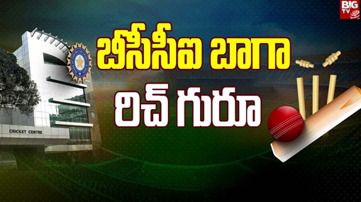 BCCI Assets: మన BCCI బాగా రిచ్ గురూ.. ప్రస్తుత ఆస్తుల విలువెంతో తెలుసా?