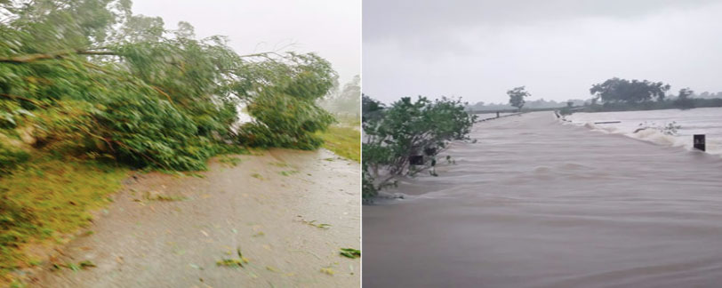 weather updates in andhra pradesh