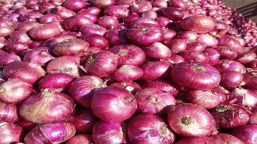 Onion Exports: పెరుగుతున్న ఉల్లిధరలు.. ఎగుమతులపై కేంద్రం నిషేధం