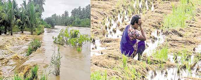 Michaung Cyclone effect in AP