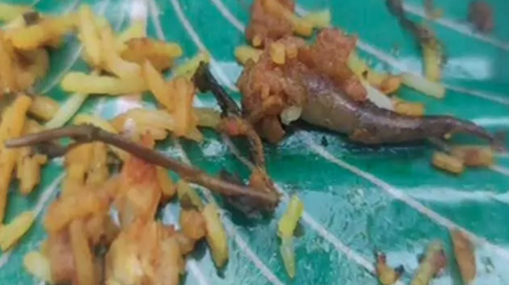 Lizard In Biryani : బాబోయ్ బిర్యానీలో బల్లి.. 8 మందికి అస్వస్థత