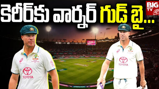 David Warner: విజయంతో వీడ్కోలు పలికిన డేవిడ్ వార్నర్.. 12 ఏళ్ల టెస్టు కెరీర్ లో ఎన్నో అద్భుతాలు