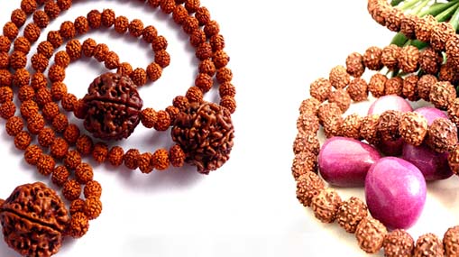 Rudraksha : పరమేశ్వర స్వరూపం .. రుద్రాక్ష