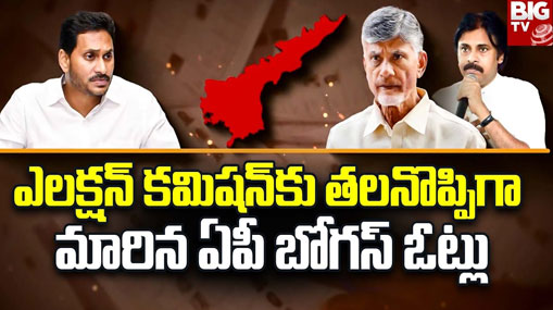 AP Fake Votes: ఏపీ బోగస్ ఓట్లపై తేలని పంచాయితీ.. ఈసీకి తలనొప్పిగా మారిన వ్యవహారం..