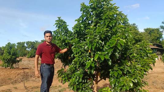 Passion Fruit Cultivation : పేషన్ ఫ్రూట్ సాగు.. ఎంతో బాగు..!