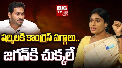 YS Sharmila : షర్మిలకి కాంగ్రెస్ పగ్గాలు.. జగన్ కి చుక్కలే