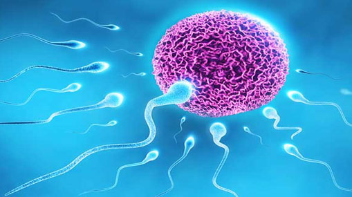 Sperm Count : రోజూ ఇలా చేస్తే.. మీ స్పెర్మ్ కౌంట్ పెరుగుతుంది..!