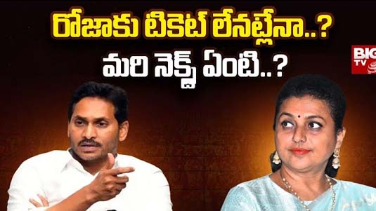 Minister Roja :  రోజాకు టికెట్‌ లేనట్లేనా..? మరి నెక్స్ట్ ఏంటి..?